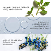 Indigo Overnight Repair | Face Cream & Serum Treatment, Fragrance Free Night Cream, 50 Ml | 1.7 Oz