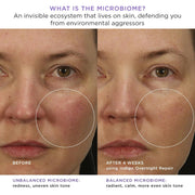 Indigo Overnight Repair | Face Cream & Serum Treatment, Fragrance Free Night Cream, 50 Ml | 1.7 Oz