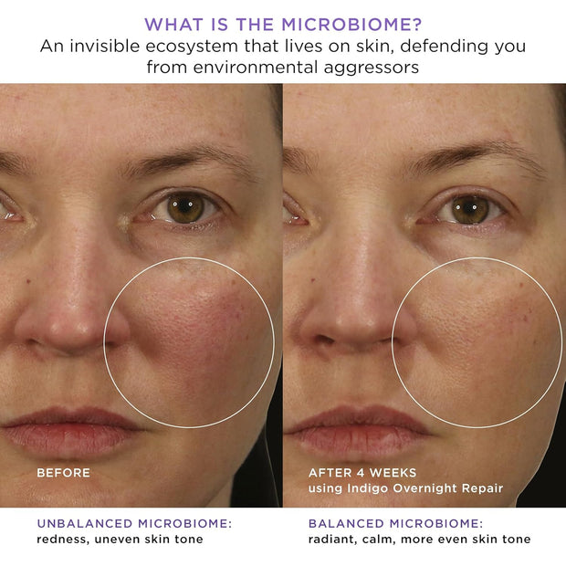 Indigo Overnight Repair | Face Cream & Serum Treatment, Fragrance Free Night Cream, 50 Ml | 1.7 Oz