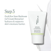 Plant Power Skincare Starter Mini Set, Step-By-Step Skincare Kit for Cleansing, Hydrating, Exfoliating & Nourishing, Vegan & Cruelty-Free